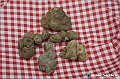 VBS_6934 - Fiera dei Santi - 12.ma Fiera Nazionale del Tartufo